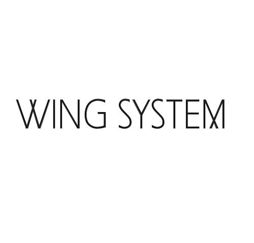 WING SYSTEM